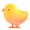 baby chick